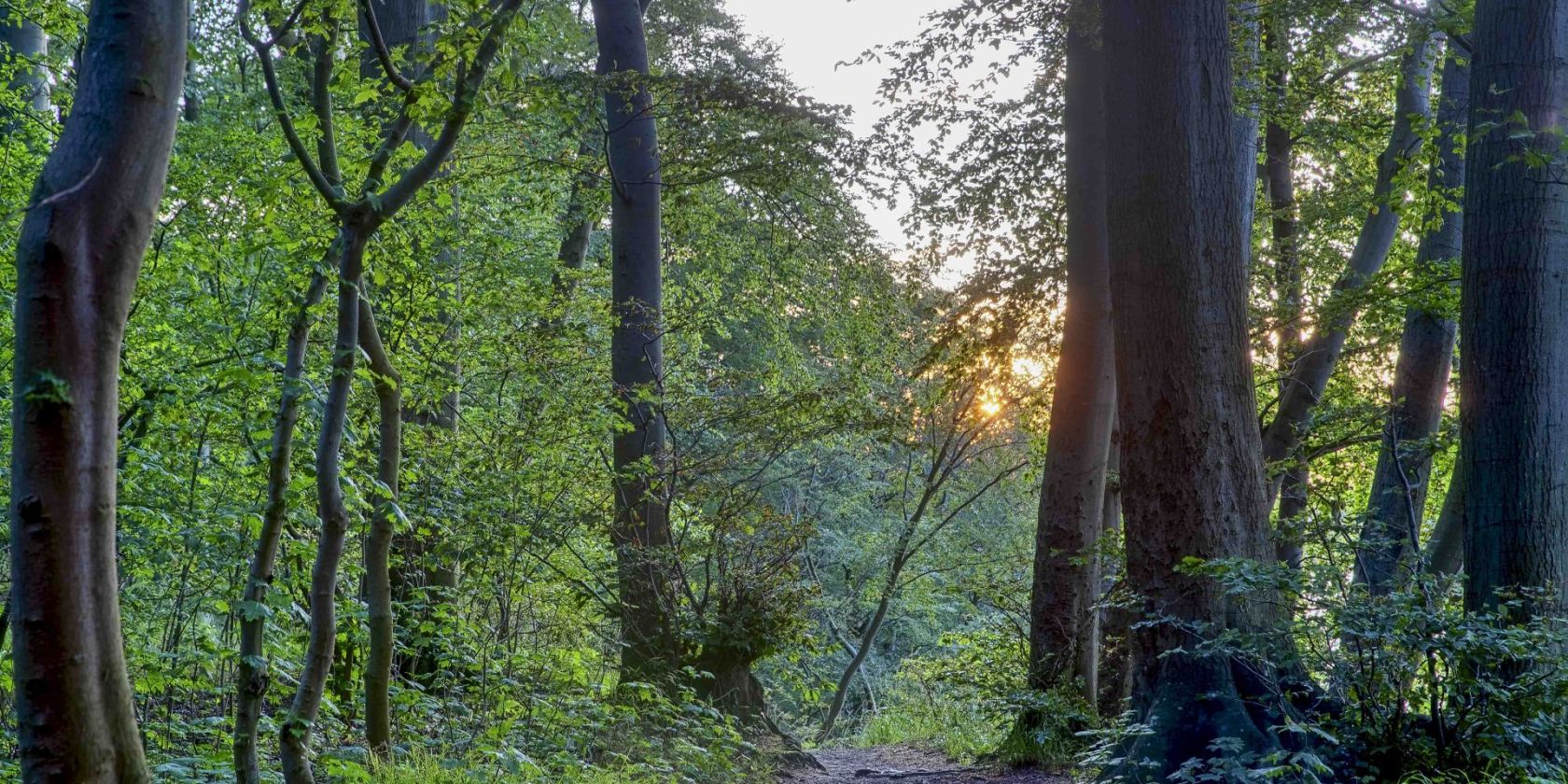 Nordic Walking (c) Kurverwaltung Goehren Martin Stoever_07-2019_P5I1462_61_60_59_58_HDR projects-2, © Kurverwaltung Goehren / Martin Stoever Nordic Walking (c) Kurverwaltung Goehren Martin Stoever_07-2019_P5I1462_61_60_59_58_HDR projects-2, © Kurverwaltung Goehren / Martin Stoever