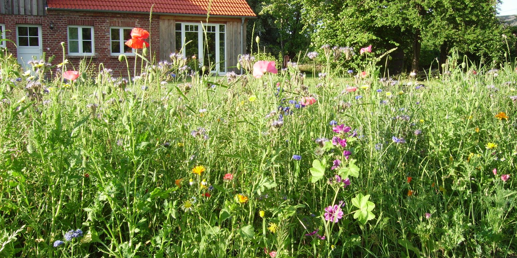 Smedsens Hoff 1 Gallery PL, © Galerie PL Smedsens Hoff 1 Gallery PL, © Galerie PL