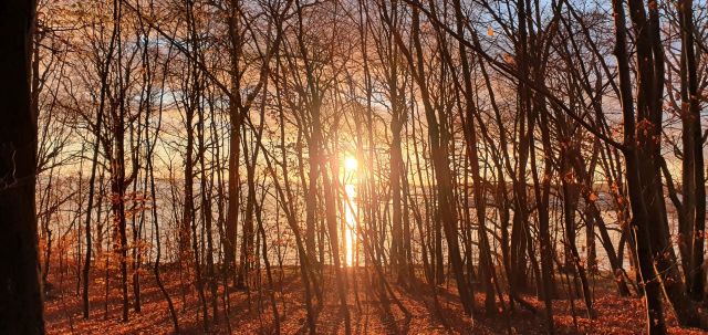 Waldbaden Winter (c) Kurverwaltung Goehren, © Kurverwaltung Goehren / Martin Stoever Waldbaden Winter (c) Kurverwaltung Goehren, © Kurverwaltung Goehren / Martin Stoever