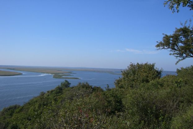 Pure nature - Swin delta: Adventure boat tour with Rudi Pure nature - Swin delta: Adventure boat tour with Rudi