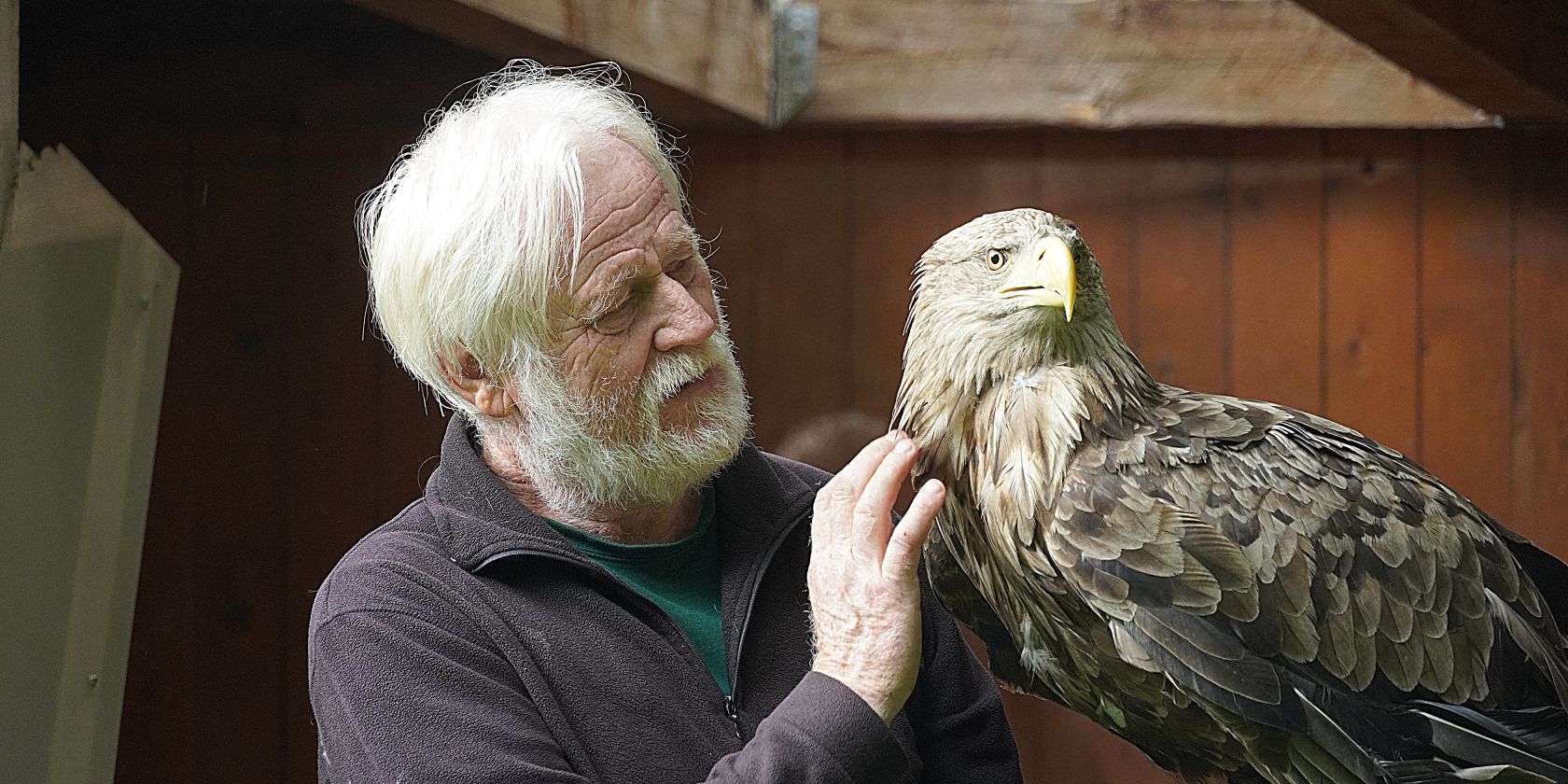 Greifvogel 2, © Kleine-Möller Greifvogel 2, © Kleine-Möller