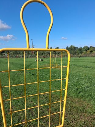20260918_104817, © Vier-Tore-Stadt Neubrandenburg 20260918_104817, © Vier-Tore-Stadt Neubrandenburg