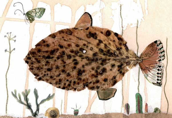 FLH_Ausstellung_kleiner Blattfisch_Foto©Heidrun Boddin, © Heidrun Boddin FLH_Ausstellung_kleiner Blattfisch_Foto©Heidrun Boddin, © Heidrun Boddin