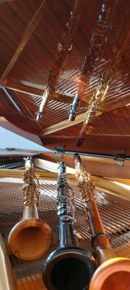 hmt Rostock, © hmt Rostock hmt Rostock, © hmt Rostock