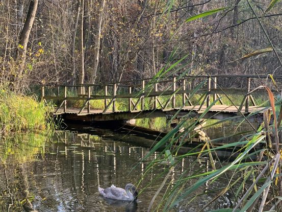 Bruecke_ueber_Schaale_E.Dornblut, © E. Dornblut Bruecke_ueber_Schaale_E.Dornblut, © E. Dornblut