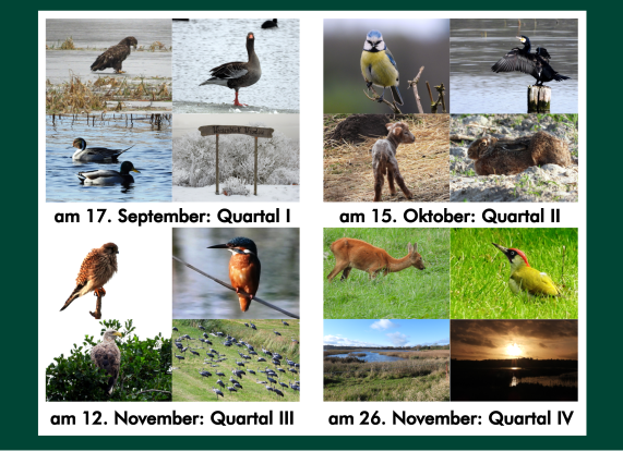 Poster-Wrodow-1, © RB NB Poster-Wrodow-1, © RB NB