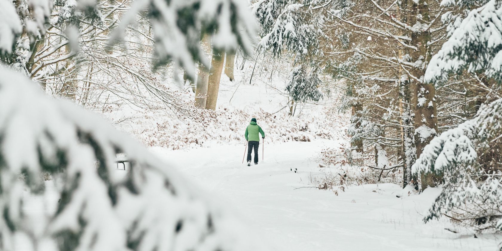 20210209-Winter02-Foto-Burwitz-Pocha, © KV 20210209-Winter02-Foto-Burwitz-Pocha, © KV