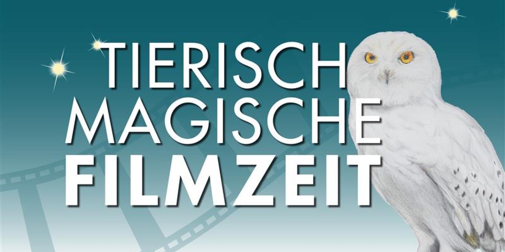 Filmzeit_allgemein_quer_16zu9, © Zoo Rostock Filmzeit_allgemein_quer_16zu9, © Zoo Rostock