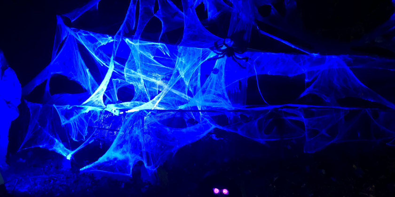 Halloween Im Zoo Stralsund, © Hansestadt Stralsund Halloween Im Zoo Stralsund, © Hansestadt Stralsund