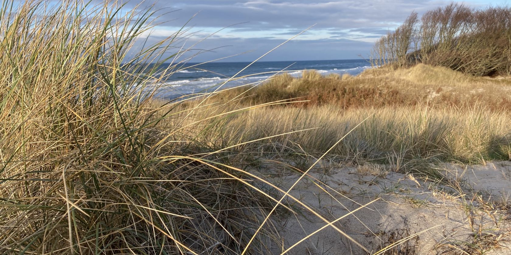 K_Baerwald_Weststrand_Winter, © Nationalparkamt Vorpommern K_Baerwald_Weststrand_Winter, © Nationalparkamt Vorpommern