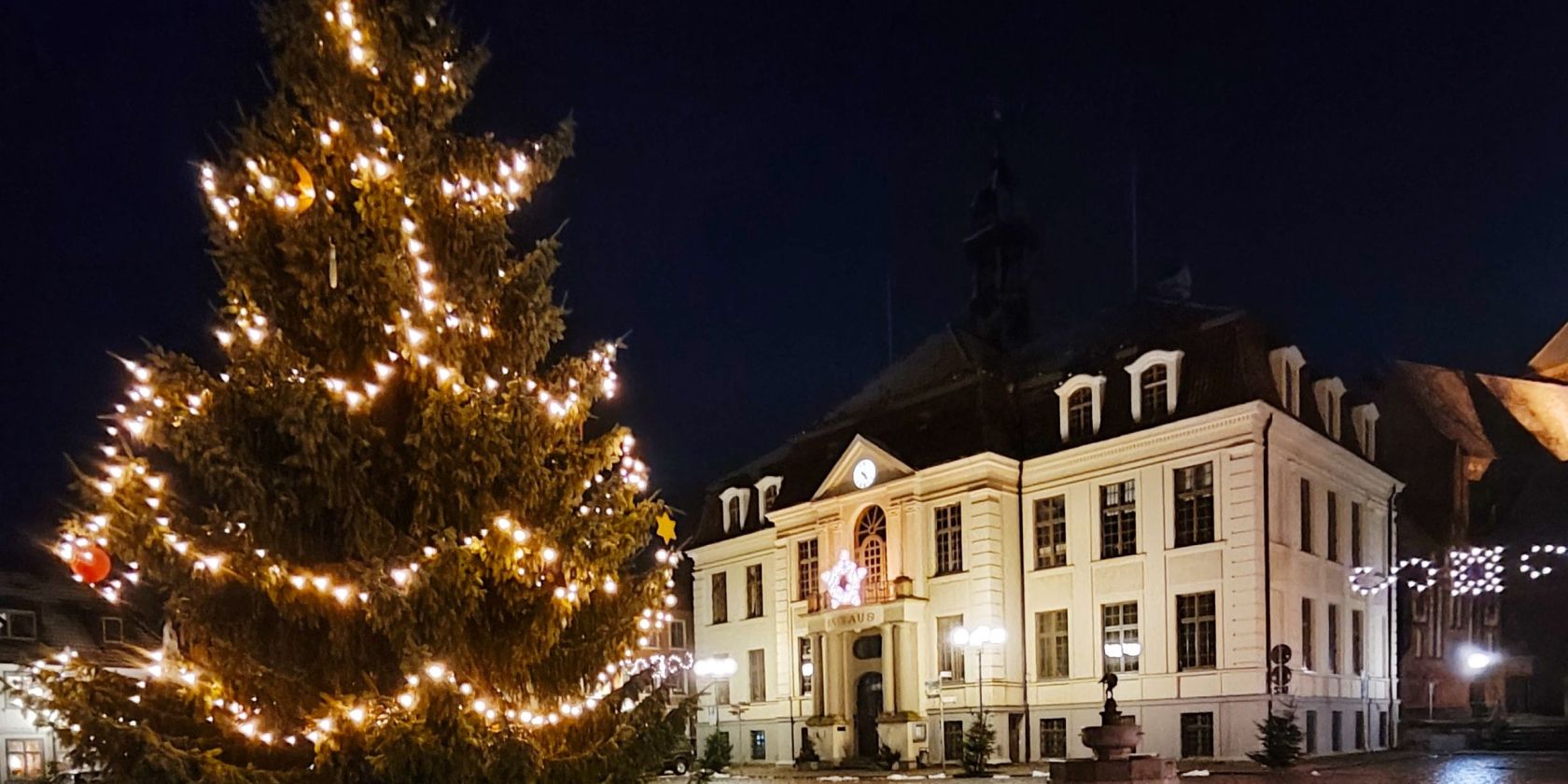 Fir_Market, © Jana Koch Fir_Market, © Jana Koch