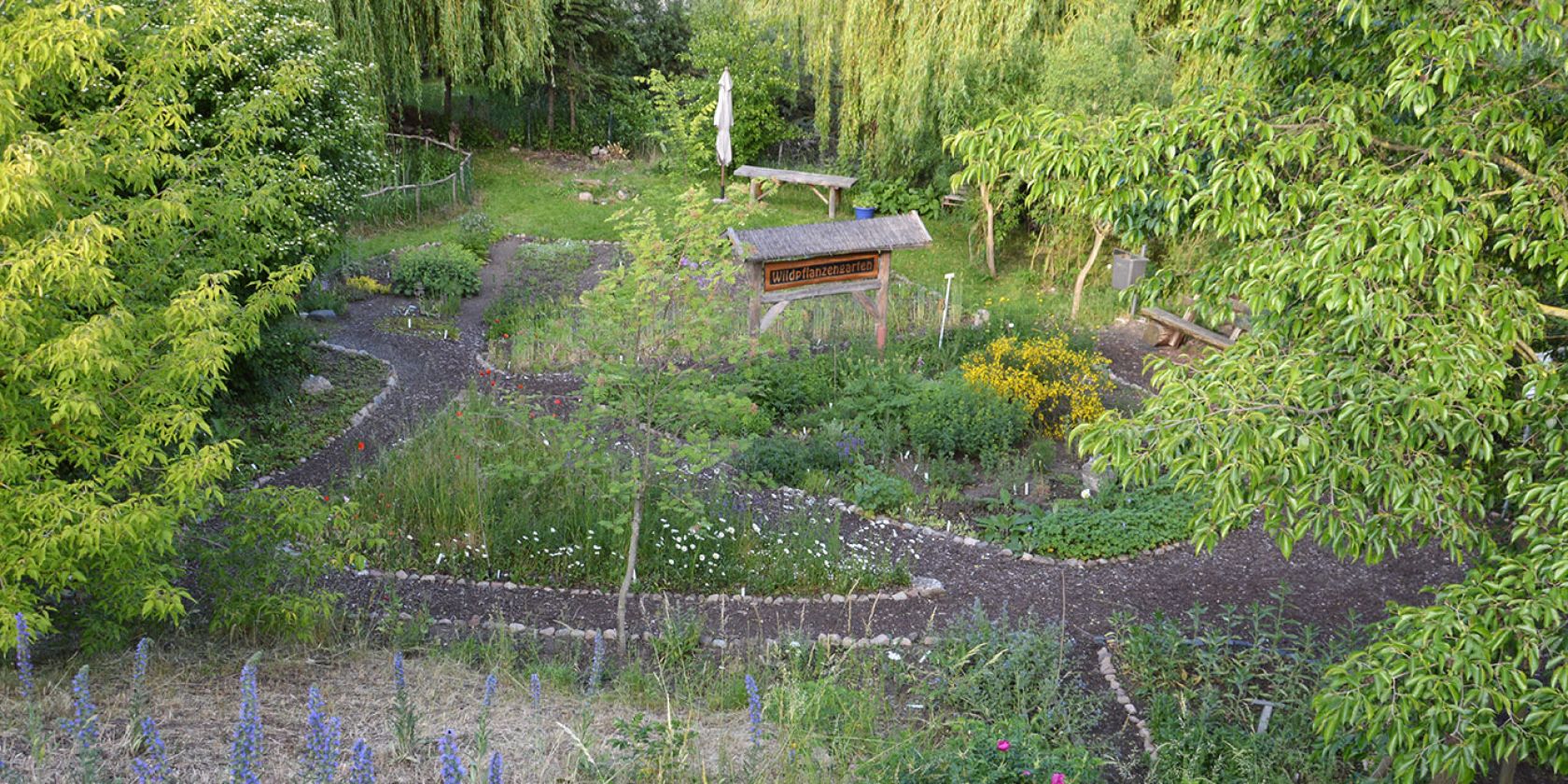 Wildpflanzengarten in Waren, © Wildpflanzengarten Waren Wildpflanzengarten in Waren, © Wildpflanzengarten Waren