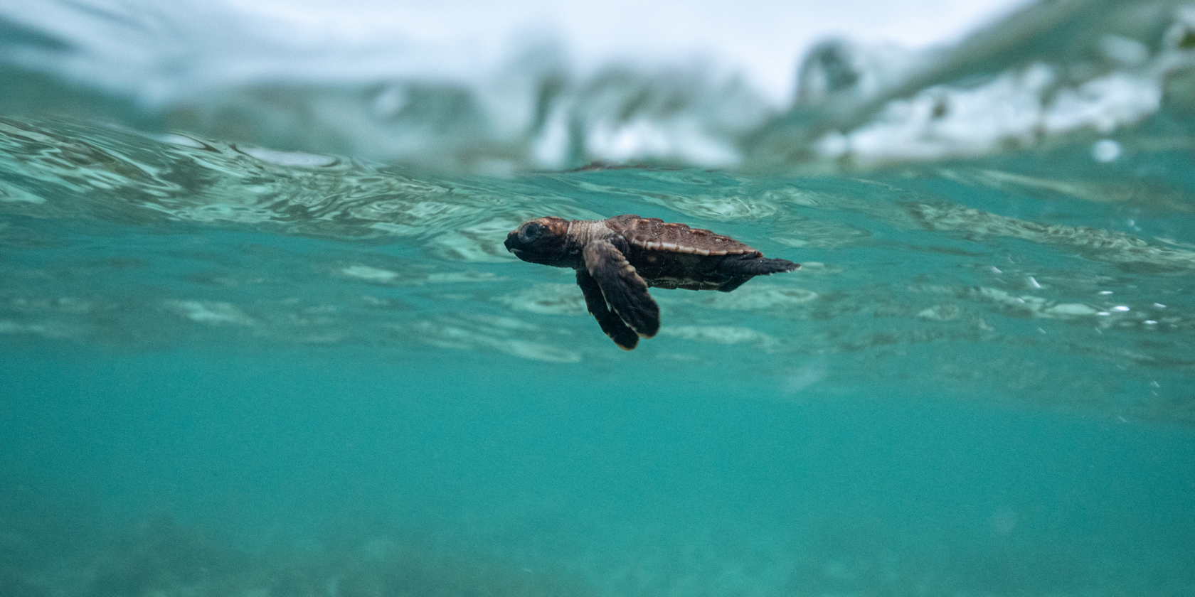 Seychellen_MartinaAndres_VD, © Martina Andres Seychellen_MartinaAndres_VD, © Martina Andres