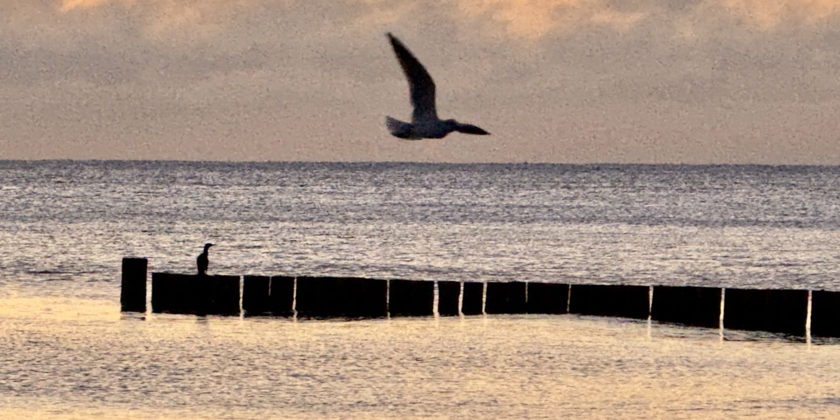 Musik am Meer - Tim Corner, © 1 (2).jpeg Musik am Meer - Tim Corner, © 1 (2).jpeg