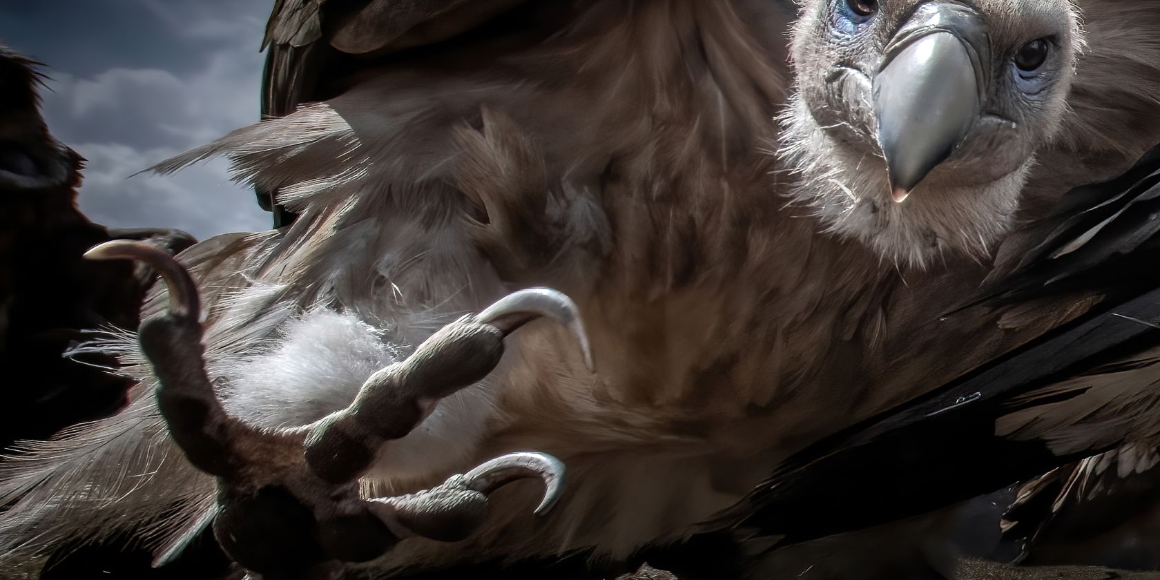 Gewinnerfoto Pölking Award_Glanzlichter2024, © fpa-zhu-xingchao Gewinnerfoto Pölking Award_Glanzlichter2024, © fpa-zhu-xingchao