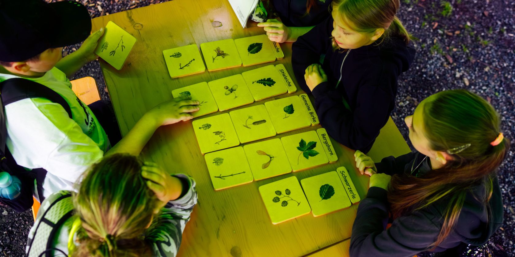 Freiluftklassenzimmer, © Nationalaprk-Zentrum KÖNIGSSTUHL / Dan Petermann Freiluftklassenzimmer, © Nationalaprk-Zentrum KÖNIGSSTUHL / Dan Petermann