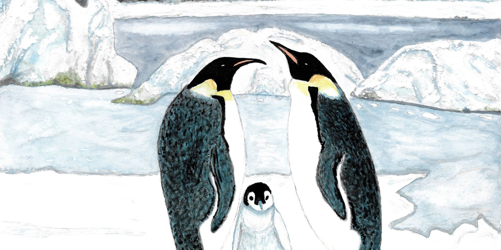 Pinguine_M, © M. Enninghorst Pinguine_M, © M. Enninghorst