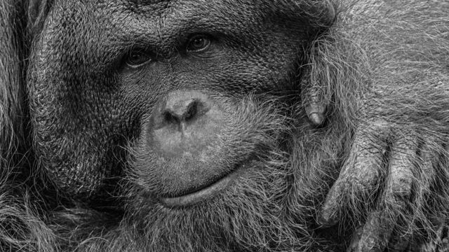 die hakabé Fotoreihe, © Lothar Wölfel die hakabé Fotoreihe, © Lothar Wölfel