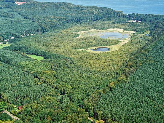 Ückeritz_Wockninsee_2004, © Fotoarchiv Naturpark Insel Usedom Ückeritz_Wockninsee_2004, © Fotoarchiv Naturpark Insel Usedom
