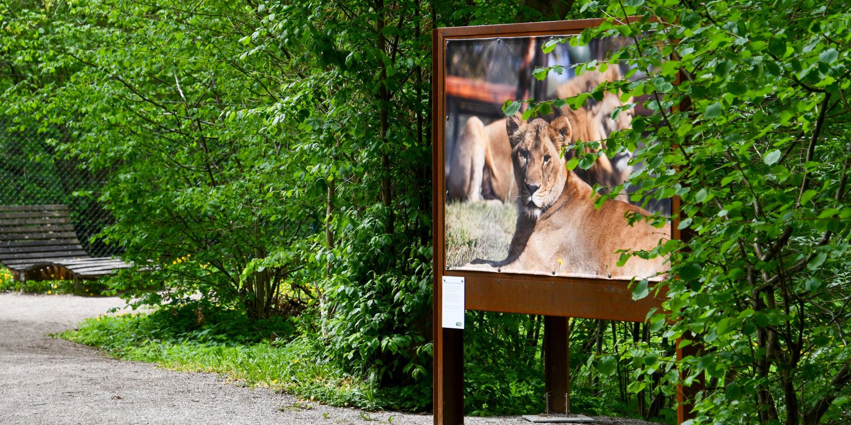Waldgalerie Ausstellung 2026 im BÄRENWALD Müritz, © BÄRENWALD Müritz | Manuela Klier Waldgalerie Ausstellung 2026 im BÄRENWALD Müritz, © BÄRENWALD Müritz | Manuela Klier