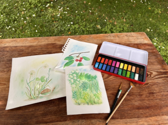 Sommeratelier im Kräutergarten, © Britta Daedelow- Seydl Sommeratelier im Kräutergarten, © Britta Daedelow- Seydl