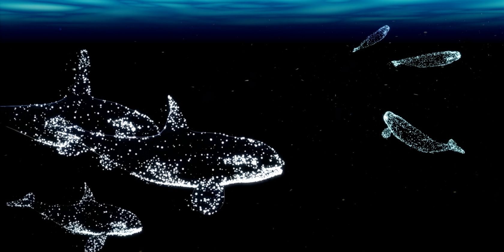 Szene aus dem immersiven Ausstellungserlebnis „Die Welt der Wale“, © halbautomaten/Deutsches Meeresmuseum Szene aus dem immersiven Ausstellungserlebnis „Die Welt der Wale“, © halbautomaten/Deutsches Meeresmuseum