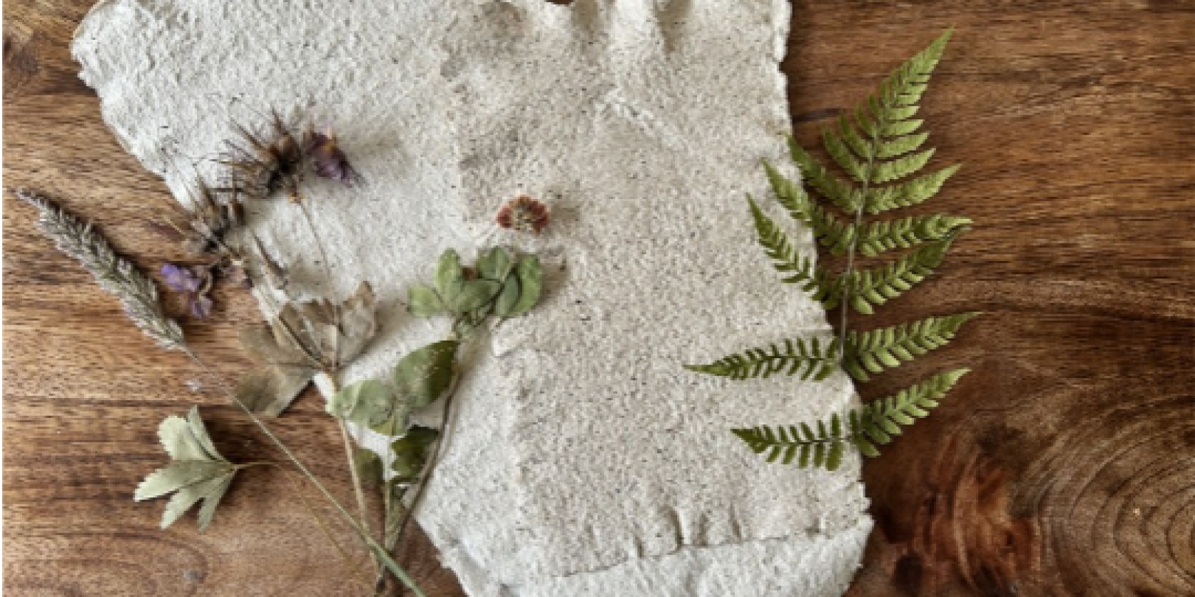 Naturpapier aus Pilzen schöpfen, © Britta Daedelow-Seydl Naturpapier aus Pilzen schöpfen, © Britta Daedelow-Seydl