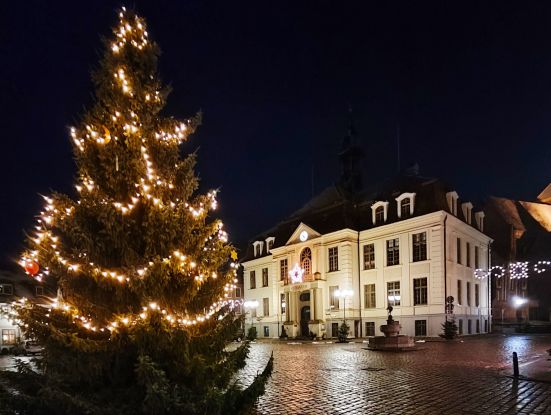 Fir_Market, © Jana Koch Fir_Market, © Jana Koch