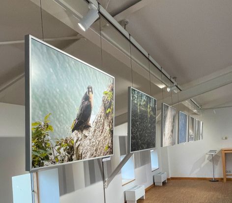 Fotoausstellung_Jürgen Reich, © Nationalpark-Zentrum KÖNIGSSTUHL Fotoausstellung_Jürgen Reich, © Nationalpark-Zentrum KÖNIGSSTUHL