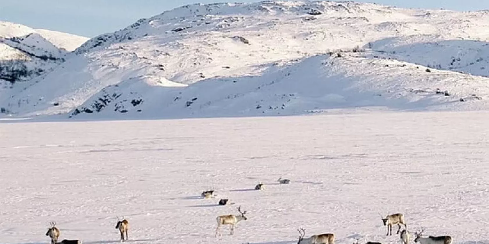 Off the Mark, © filmstarts.de Off the Mark, © filmstarts.de