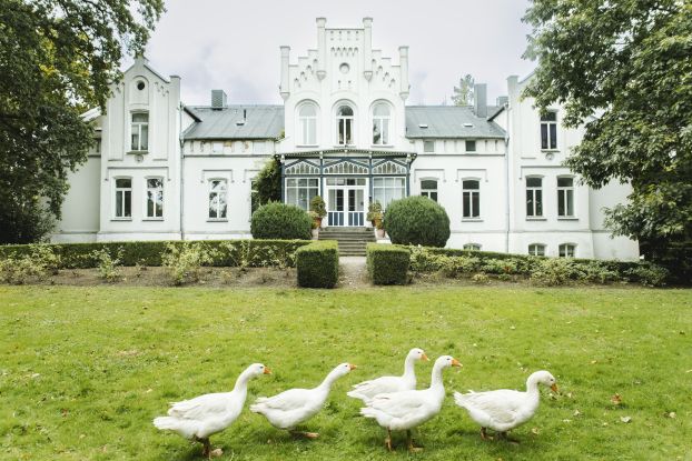 Schloss Kaeselow, © Vollvincent Schloss Kaeselow, © Vollvincent