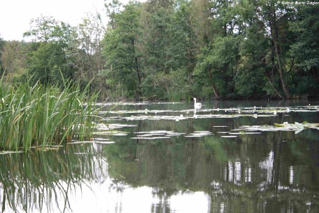 24-08 Paddling on the Peene, Nature Park archive, © Marin-Ziegler 24-08 Paddling on the Peene, Nature Park archive, © Marin-Ziegler