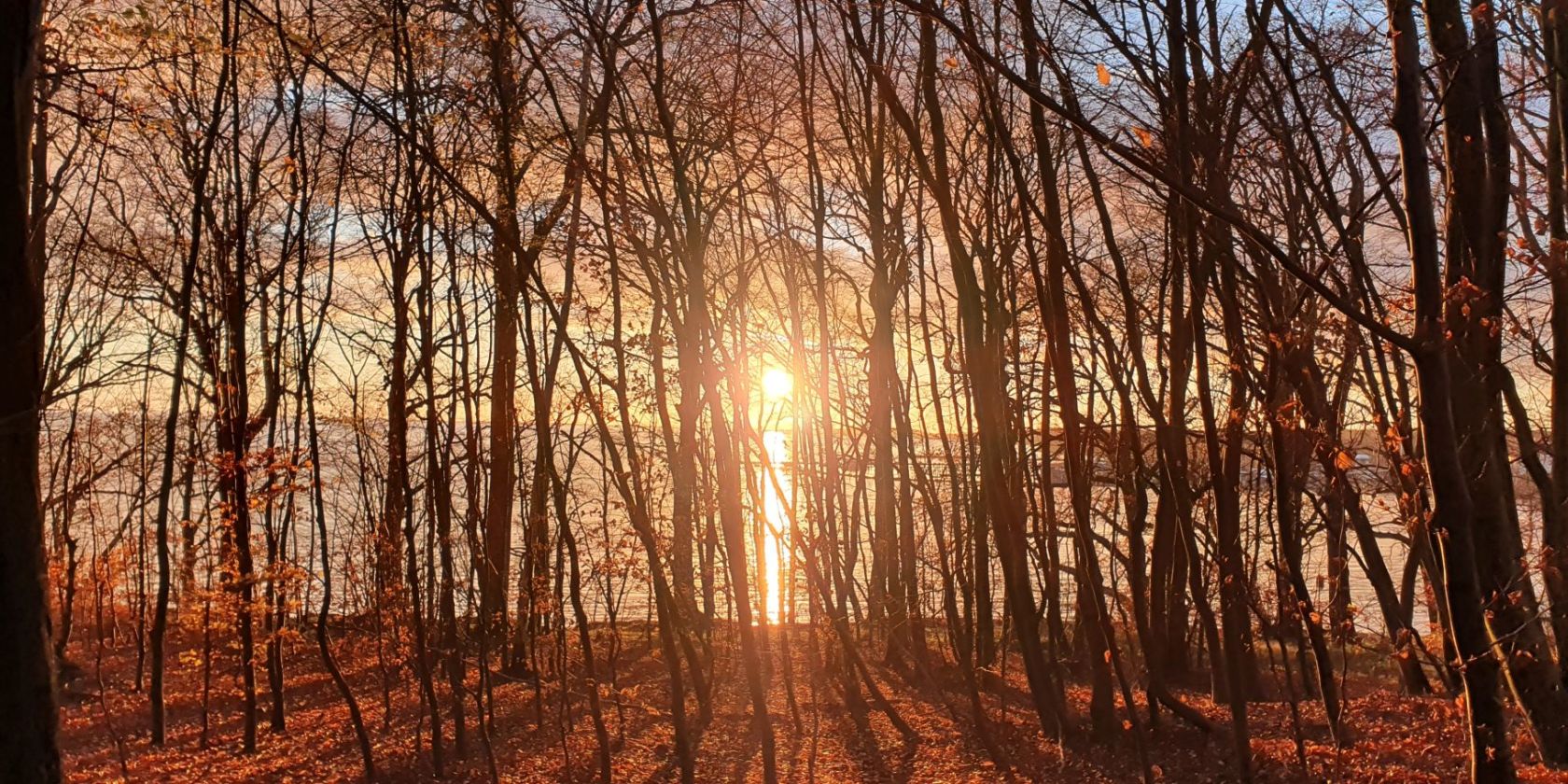 Waldbaden Winter (c) Kurverwaltung Goehren, © Kurverwaltung Goehren Waldbaden Winter (c) Kurverwaltung Goehren, © Kurverwaltung Goehren