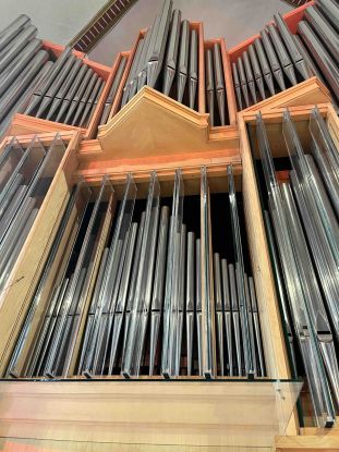 Organ 3, © Tobias Brommann Organ 3, © Tobias Brommann