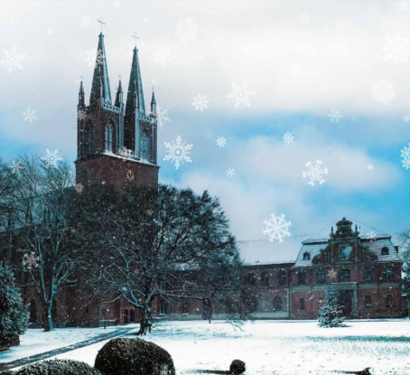 Adventsmarkt Dobbertin 2026, © https://kloster-dobbertin.de/events/adventsmarkt-dobbertin-2026-kloster-dobbertin-28-11/ Adventsmarkt Dobbertin 2026, © https://kloster-dobbertin.de/events/adventsmarkt-dobbertin-2026-kloster-dobbertin-28-11/