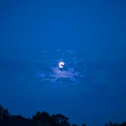 Vollmondwanderung_KV, © Kurverwaltung Mönchgut Vollmondwanderung_KV, © Kurverwaltung Mönchgut