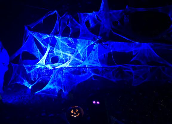 Halloween Im Zoo Stralsund, © Hansestadt Stralsund Halloween Im Zoo Stralsund, © Hansestadt Stralsund