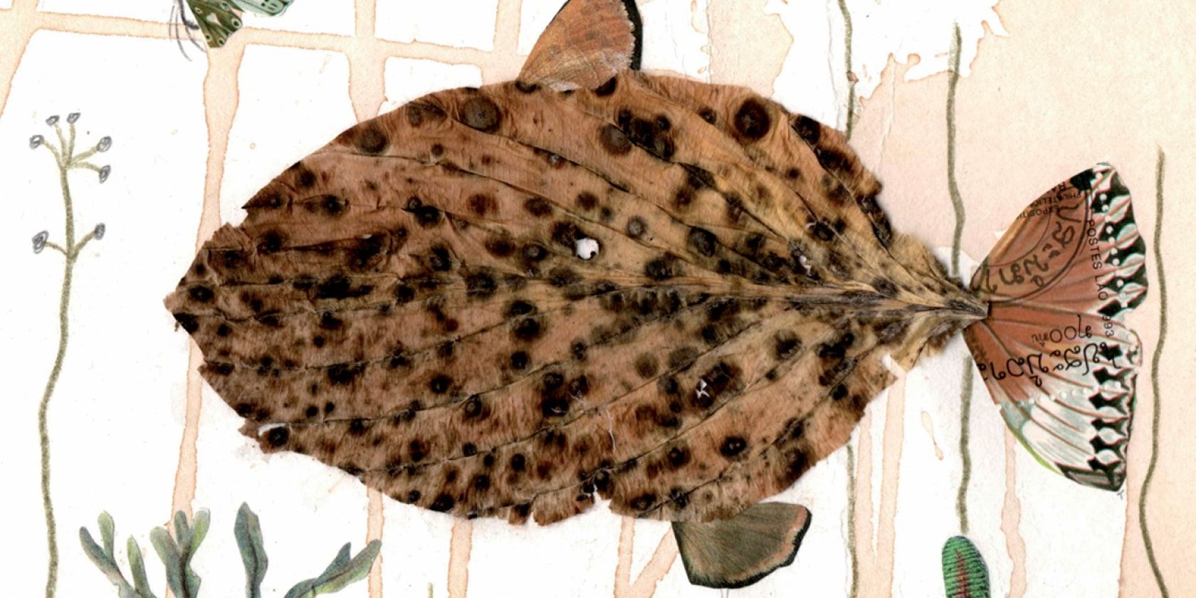 FLH_Ausstellung_kleiner Blattfisch_Foto©Heidrun Boddin, © Heidrun Boddin FLH_Ausstellung_kleiner Blattfisch_Foto©Heidrun Boddin, © Heidrun Boddin