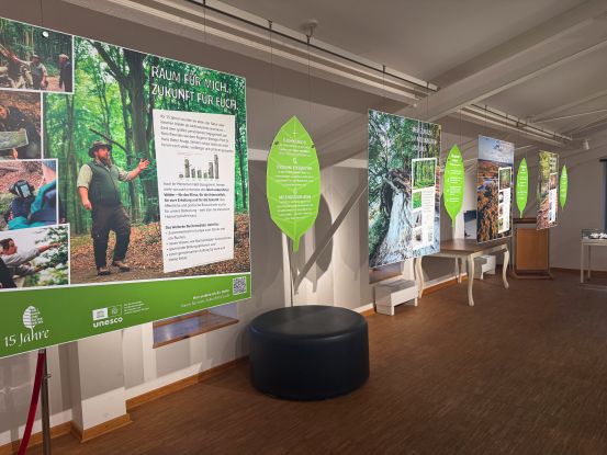 Sonderausstellung, 15 Jahre Alte Buchenwälder, © Nationalpark-Zentrum KÖNIGSSTUHL Sonderausstellung, 15 Jahre Alte Buchenwälder, © Nationalpark-Zentrum KÖNIGSSTUHL