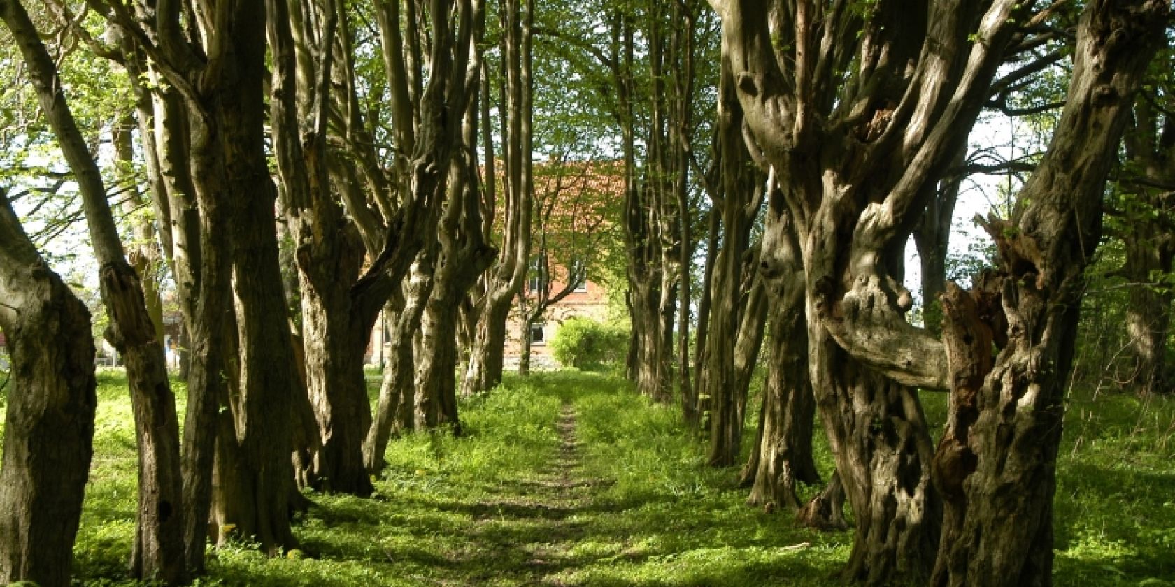 Waldpark Hessenburg, © Hessenburg Waldpark Hessenburg, © Hessenburg