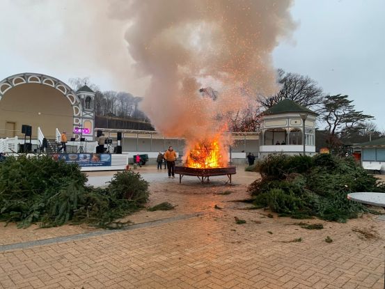 Tannenbaum, © FVGV Göhren Tannenbaum, © FVGV Göhren