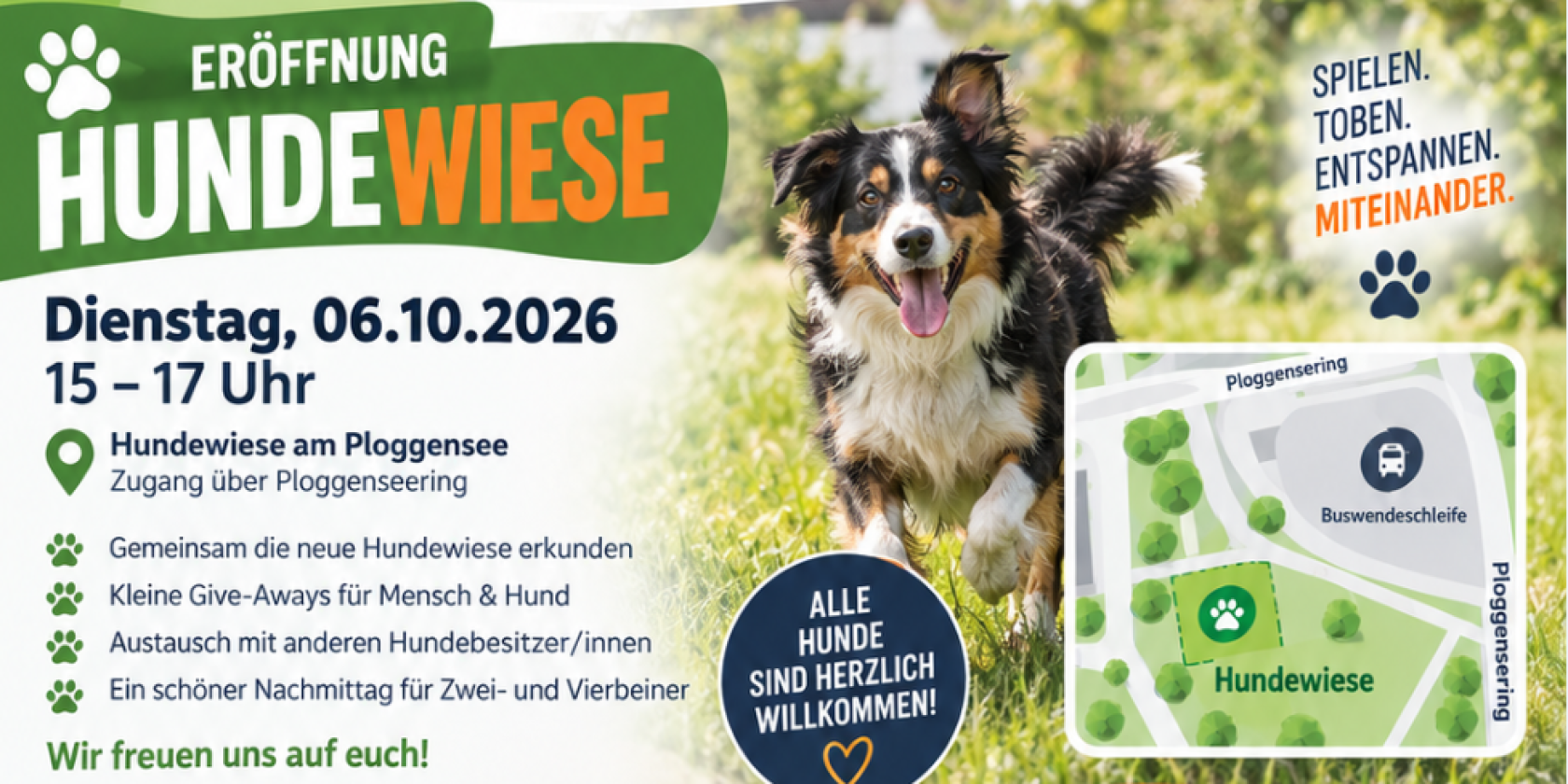 Hundewiese, © QM Hundewiese, © QM