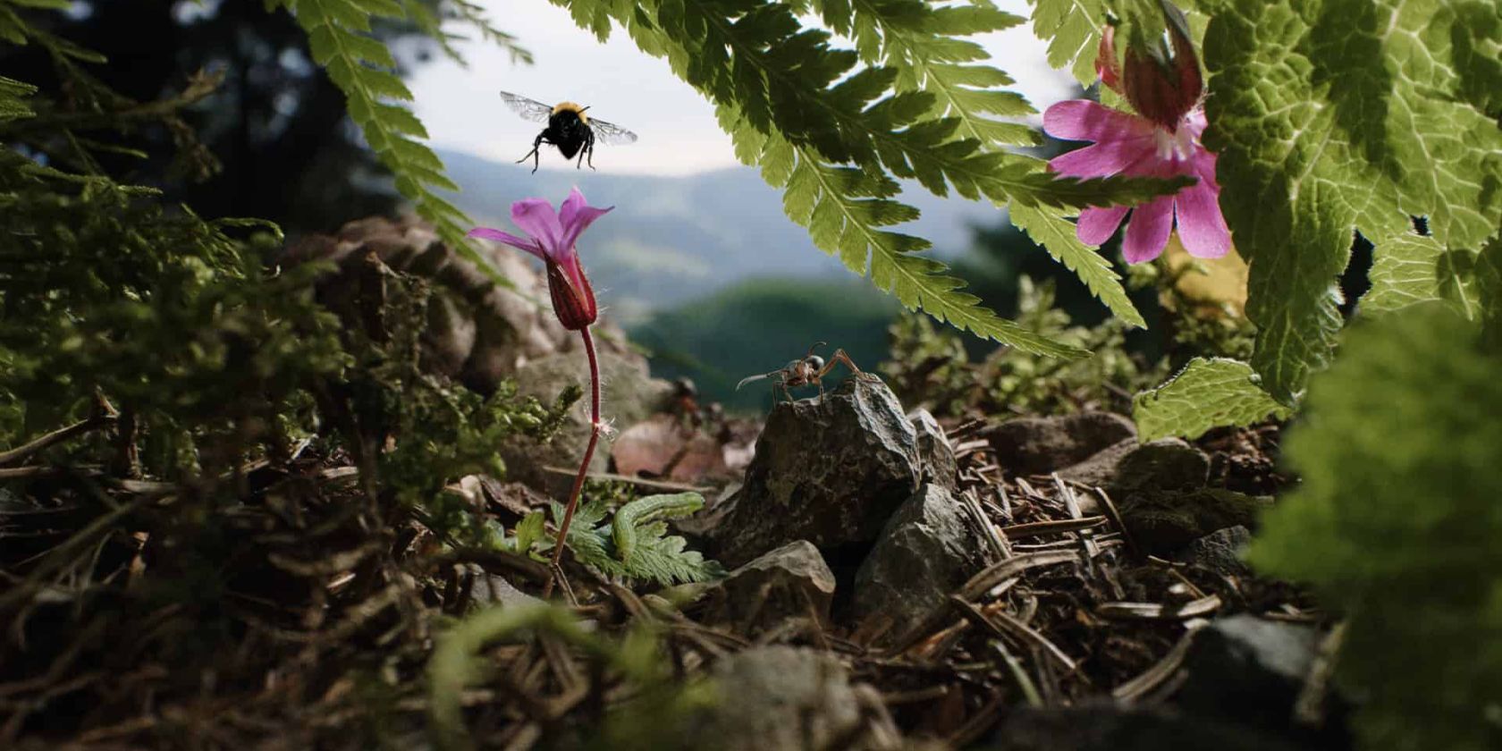 Insekten---Helden-im-Verborgenen, © CZAR-Film Insekten---Helden-im-Verborgenen, © CZAR-Film