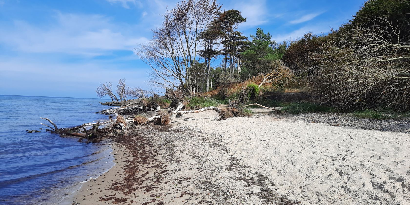 eigenes Foto, © eigenes Foto eigenes Foto, © eigenes Foto