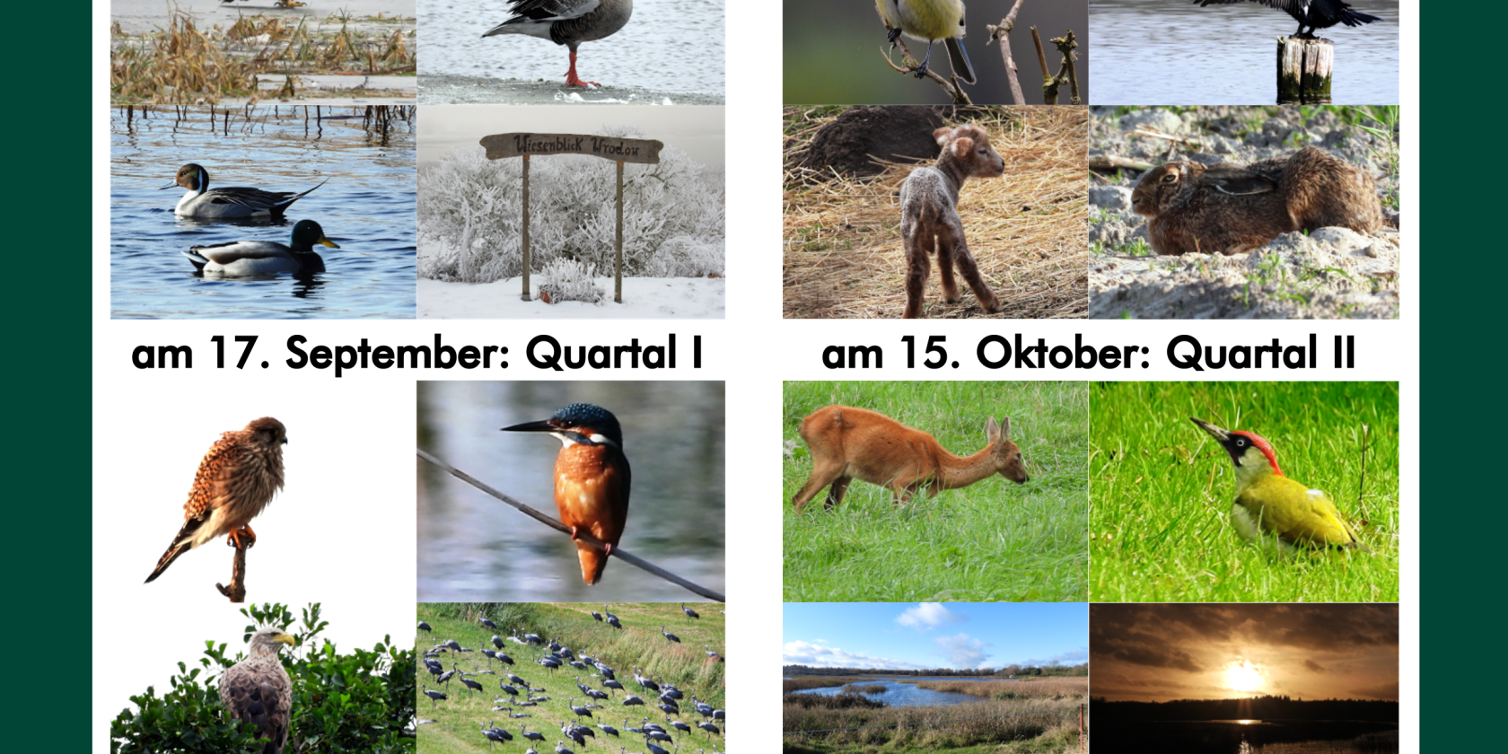 Poster-Wrodow-1, © RB NB Poster-Wrodow-1, © RB NB