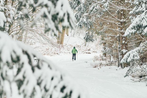 20210209-Winter02-Foto-Burwitz-Pocha, © KV 20210209-Winter02-Foto-Burwitz-Pocha, © KV