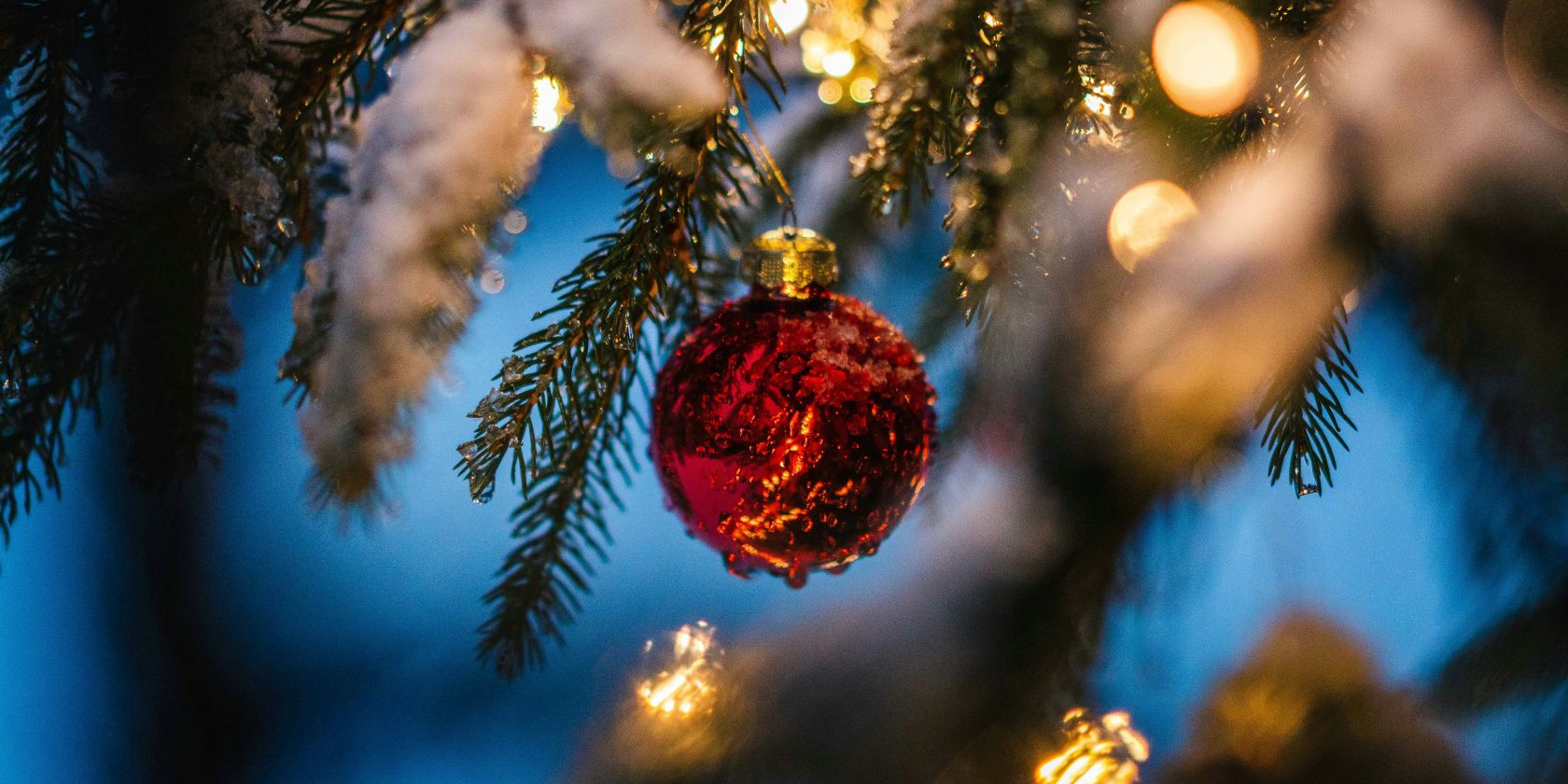 silas-baisch-QbF2netSOP4-unsplash, © Foto von Silas Baisch auf Unsplash silas-baisch-QbF2netSOP4-unsplash, © Foto von Silas Baisch auf Unsplash