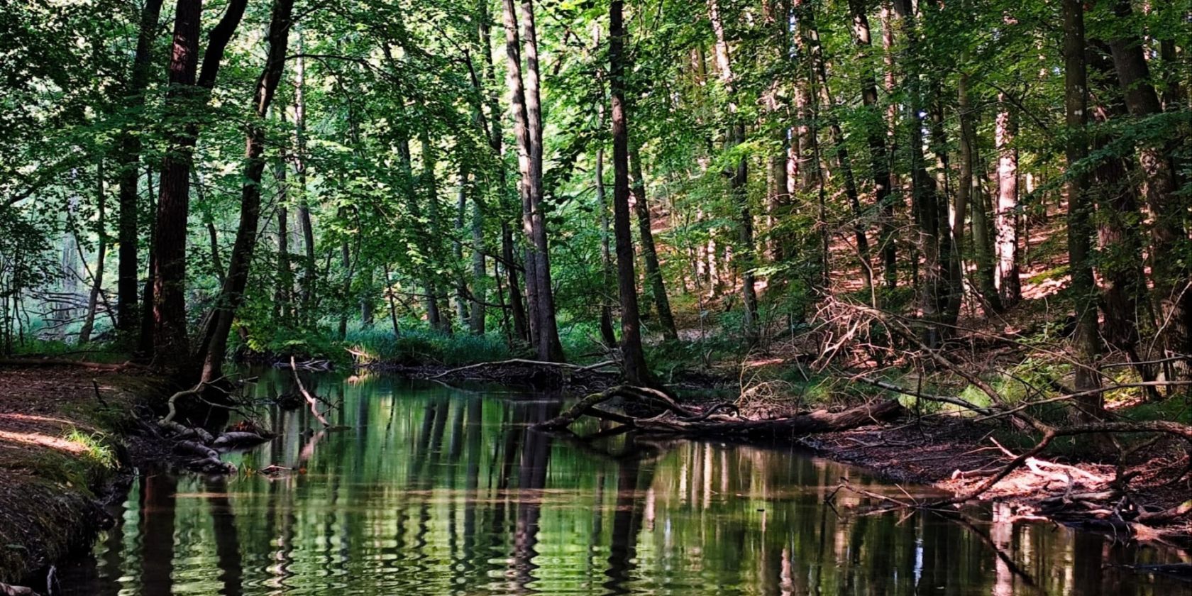 Küstrinchenbach, © Britta Daedelow-Seydl Küstrinchenbach, © Britta Daedelow-Seydl