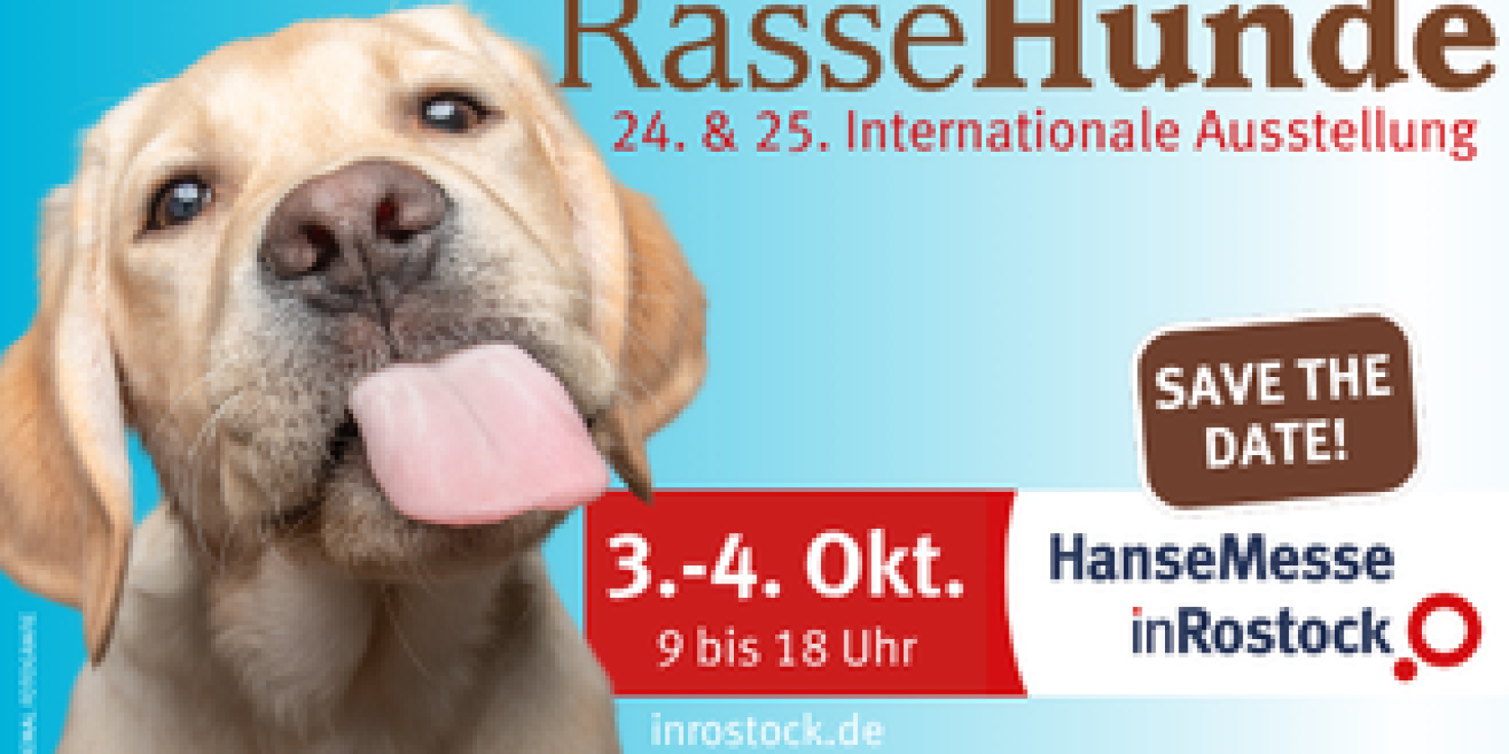 Titel RasseHunde, © inRostock GmbH Titel RasseHunde, © inRostock GmbH