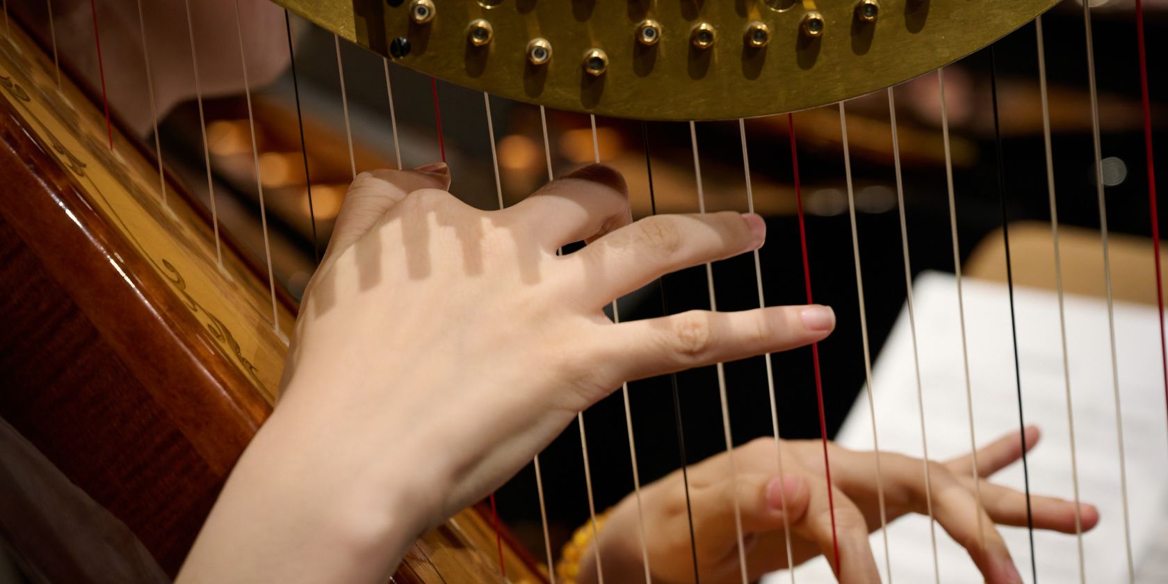 hmt Rostock, © hmt Rostock hmt Rostock, © hmt Rostock